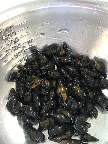 比婆郷土料理研究会 土用の丑の日 の郷土食 イートローカルプロジェクト