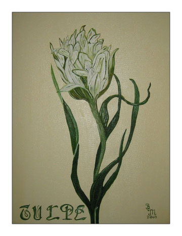 Tulpe in Öl 30 x 40