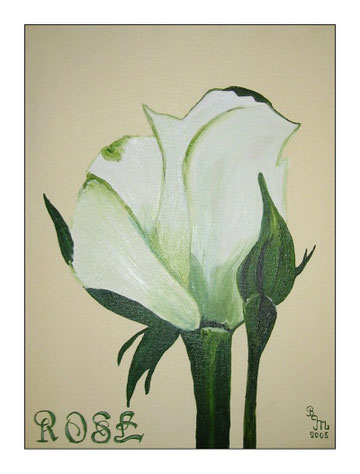 Rose in Öl 30 x 40