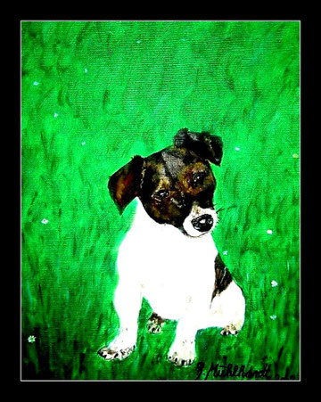 Hundeportrait in Öl 30 x 40