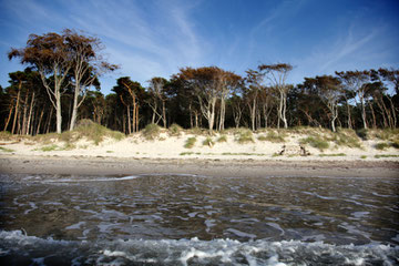 Wild und ungezähmt erscheint dieser Strand auf der Liste der Top 20 der markantesten Strände der Welt - neben der Copacabana oder dem Miami Beach.