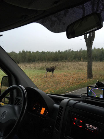 Masurenreise Ostpreußenreise
