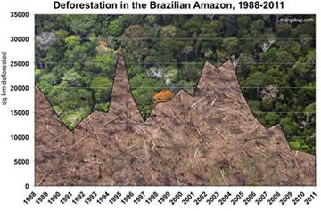 Mongabay.comより　1988年－2011年のアマゾンの森林破壊