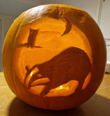 Rosie Woodroffe Presents the Pumpkin of Oxford Badger Cull Science - it's about keeping farmers happy.