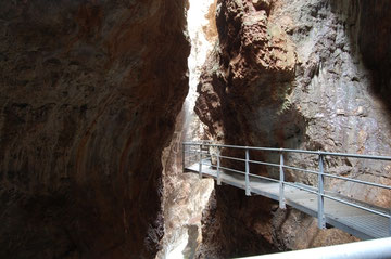 canyon Novella