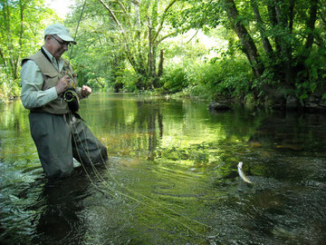 Pêche à la mouche sur la rivière du Steir