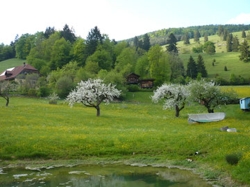 Longo mai Hof "Le Montois" im Jura