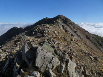 薬師岳山頂(中央奥)が見えてきた