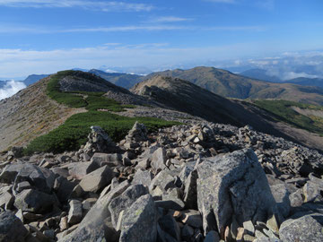 登って来た登山道を望む