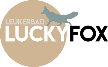 Logo Lucky Fox