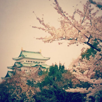 なーんて言いながら、写真は思いっきり日本ですがw 続きを読むをクリック!