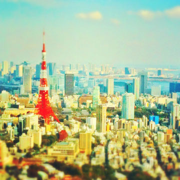 「Ecco, nostro paese dei balocchi!! 」続きを読むをクリック!