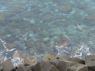 これ、かなり上から海を撮ってるんですが、わかります?底の石がクッキリ見えるくらい、水が澄んでるんです。