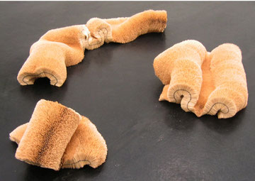 Touch me Installation im Kunsthaus Aarau