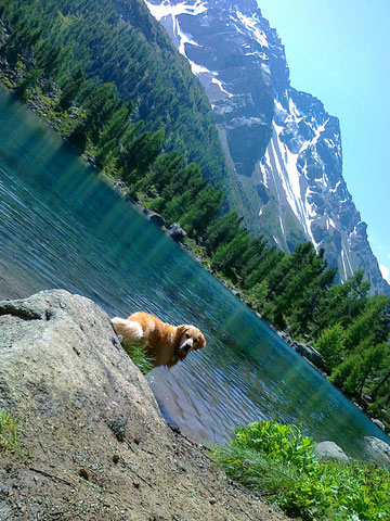 Arco im Val di Camp