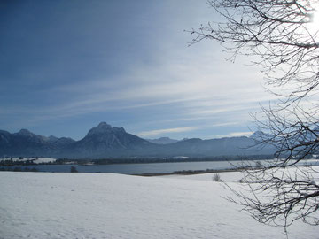 Hopfensee im Winter mit Säuling  (2047m) im Hintergrund
