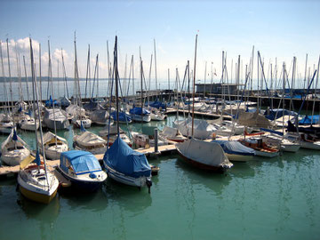 Blick von meinem Heimat Hafen aufs Badische Meer