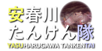 yasuharugawa-tankentai ページ！
