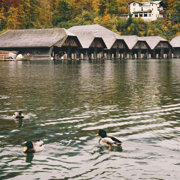 Königssee