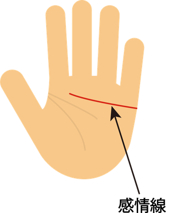占い師埼玉の父の手相占い・感情線