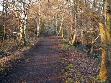 Harborne Walkway looking north along the embankment over Chad Valley. © Copyright Phil Champion reuse licensed under Creative Commons Licence: Attribution-Share Alike 2.0 Generic. Geograph OS reference SP0385.