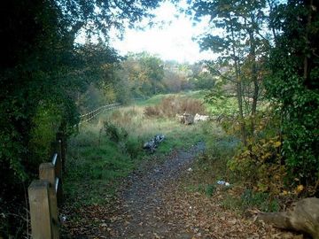 Cocks Moor east of Warstock Lane. Photograph by planetearthisblue on Geograph OS reference SP0879 - copying permitted - Creative Commons Licence: Attribution-Share Alike 2.0 Generic.