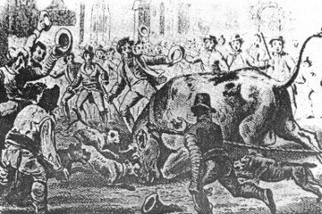 Bull baiting with dogs in Sedgeley. Image now in the public domain.