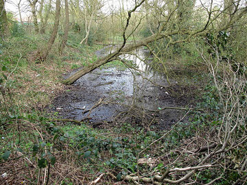 Photograph of Gannow Green moat by Nicky Getgood on Flickr reusable under Creative Commons licence Attribution-NonCommercial-ShareAlike 2.0 Generic