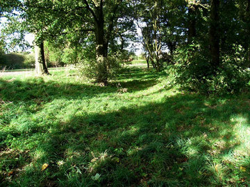 Rents Moat. The depression running vertically through the middle of the picture is the line of one side of the moat. The timbered hall inside the moat would have stood on the right of this of this picture.