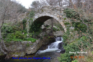 Pont génois sur le Regino (Muro)
