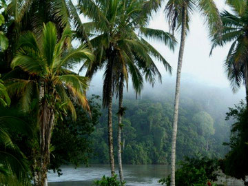 Naturreservatet Indio Maíz 