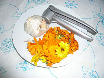 ringelblumenblüten und knoblauch