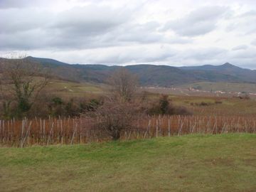 Hill Top of Hill 351 with view to Riquewihr