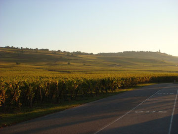 Hill 351 from Kientzheim