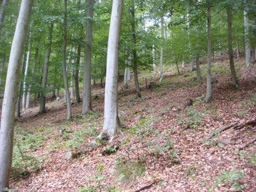 The hard way up to the top of Hohe Schwaertz