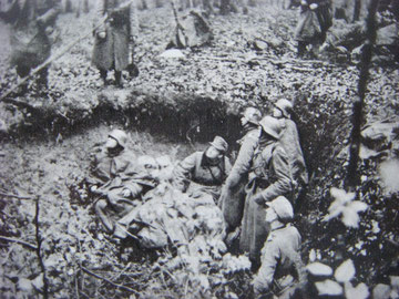 The CP of Grenadier Regiment 308 in the wood just meters from the Swiss Border