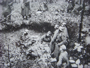 The CP of Grenadier Regiment 308 in the wood just meters from the Swiss Border 