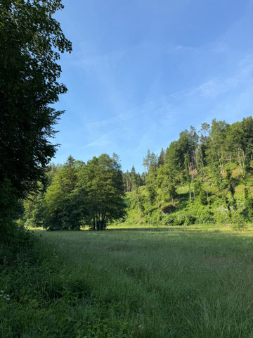 Im Aufseßtal © Kathrin Hämmerle
