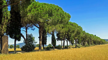 Toskana, Italien