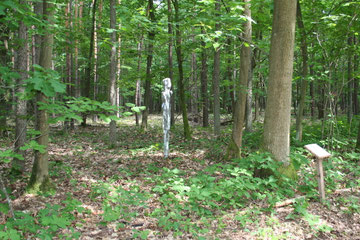 der Wanderer - Naturkultur Nieder-Roden 2012