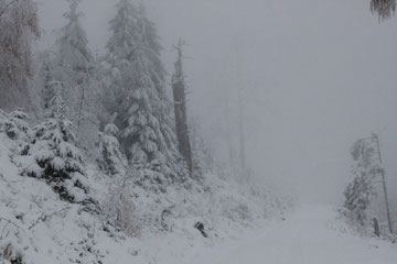 Weg in Richtung Schweizerkopf-Hütte