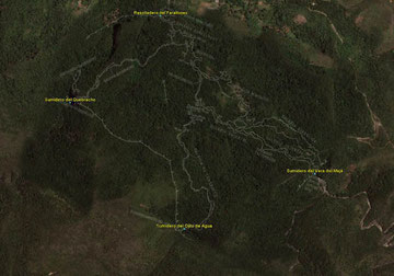 topography Jesús Martínez Salcedo - Cueva Farallones de Gran Tierra de Moa