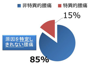腰痛分類の円グラフ