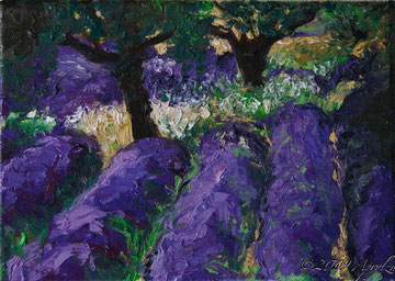 0063-le champ de lavandre (22cm/16cm oil on canvas)