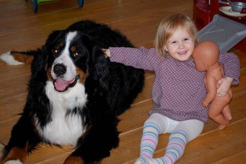 Kennenlernen hund baby