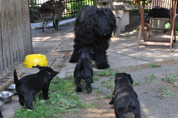 Ella an der Rezeption