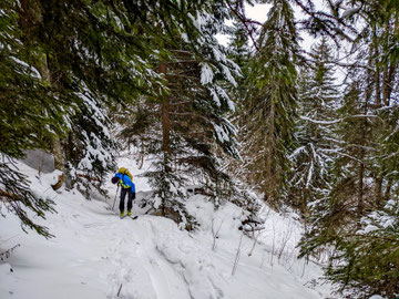 Piz Palü, Gemsfreiheit