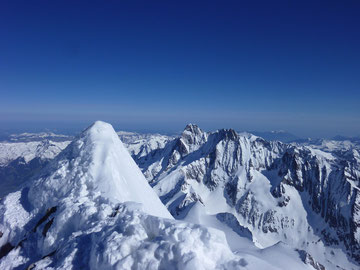 Finsteraarhorn, Schreckhorn, Lauteraarhorn, Gipfel, Jungfraugebiet, Skitouren, Schweiz