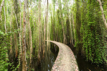 best day trips from tan lap floating village ho chi minh city