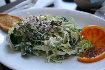 Farmer salad with Macadamia dressing and Carrot Flax Cracker